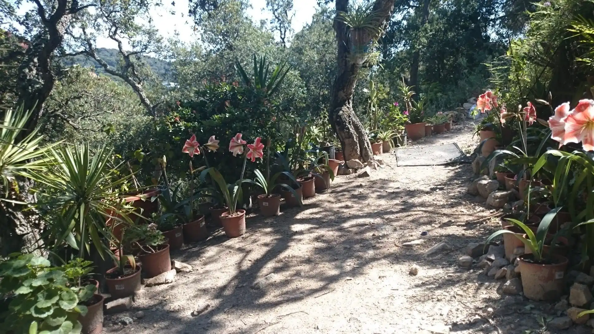 Terrenos y solares en venta en Canyelles, imagen 5