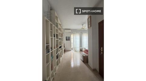 Photo 2 of Apartment for share in El Ejido, Málaga Capital