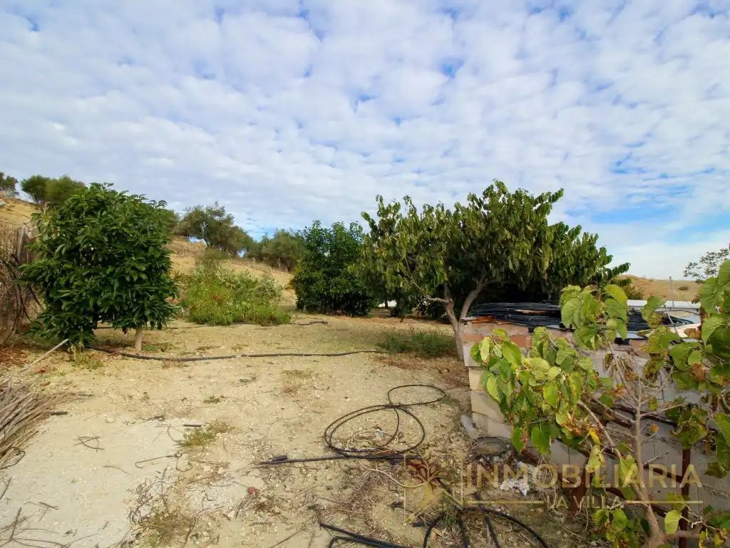 Casa rústica amb piscina en venda a Camino CUESTA DEL PALMAR, imagen 7