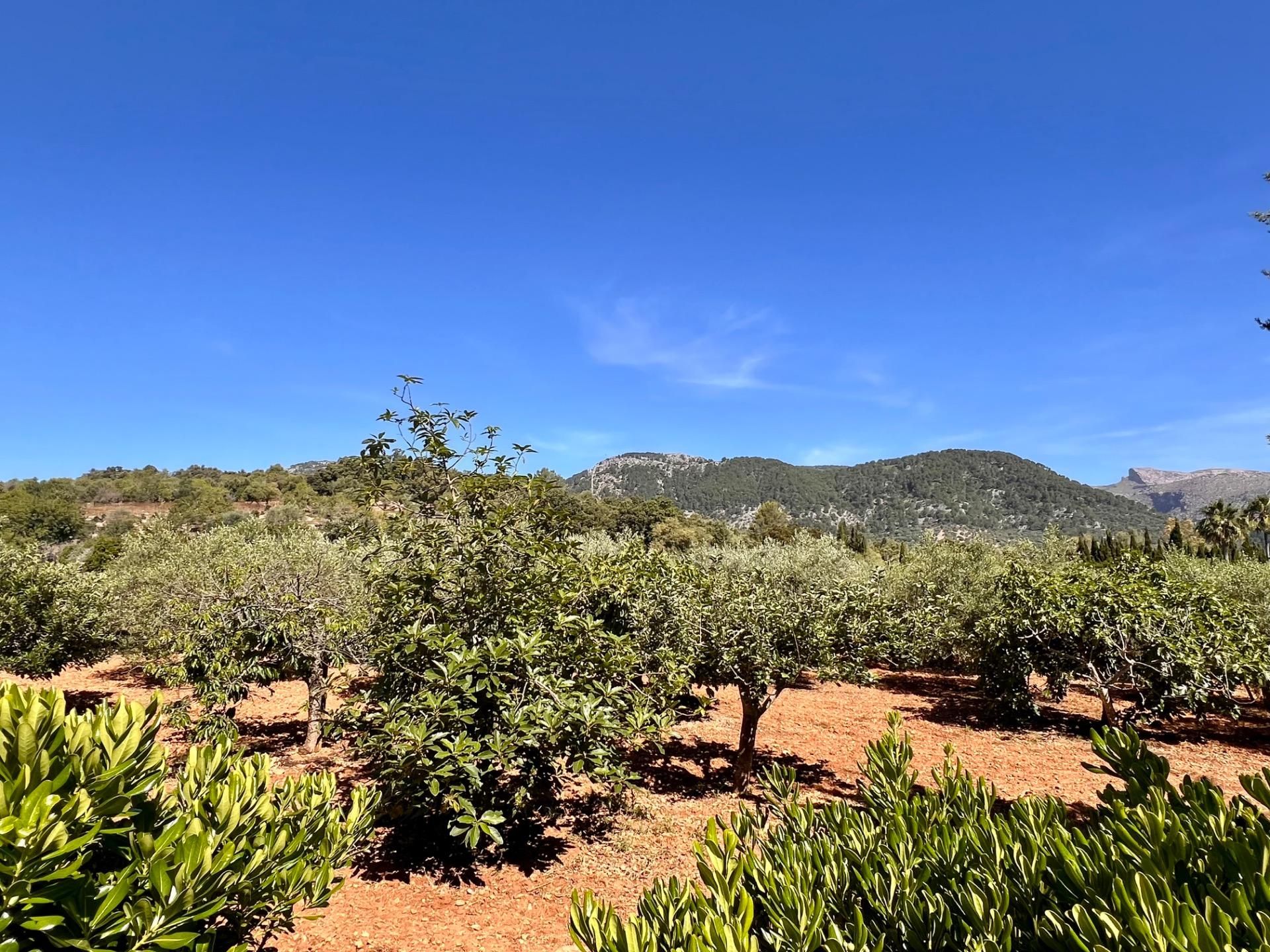 Casa o xalet de lloguer en Campanet amb Aire condicionat