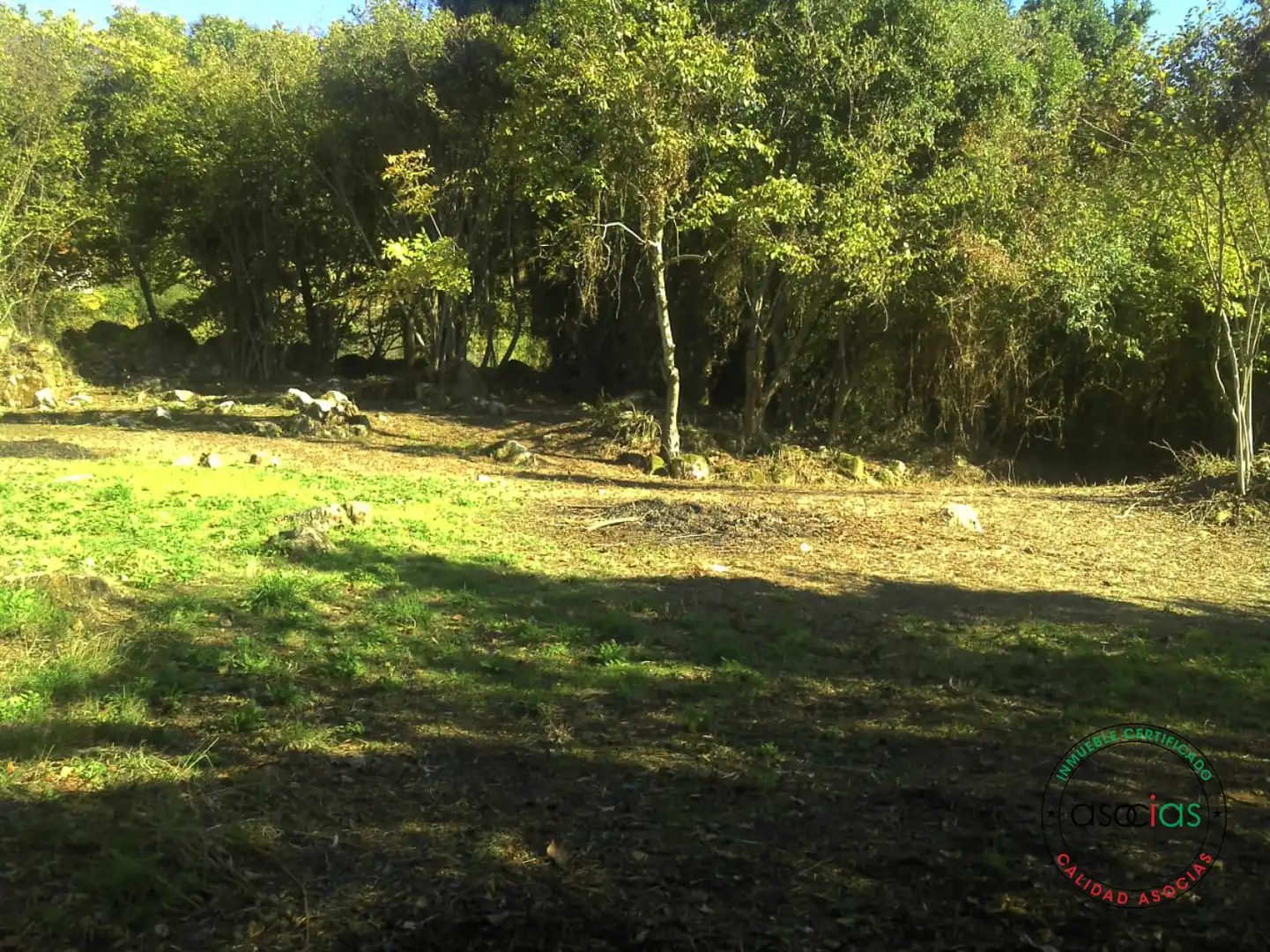 Terreno rustico in vendita a Gijón - BARRIO SAN PELAYO - CALDONES, imagen 18