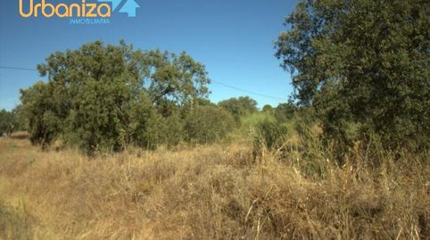 SE VENDE PARCELA DE RECREO RUSTICA EN CARRION, immagine 4