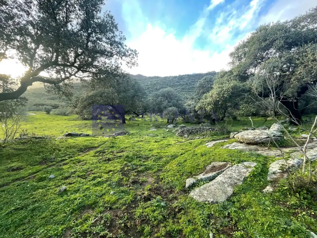 Haus zum Verkauf in Montánchez, imagen 11