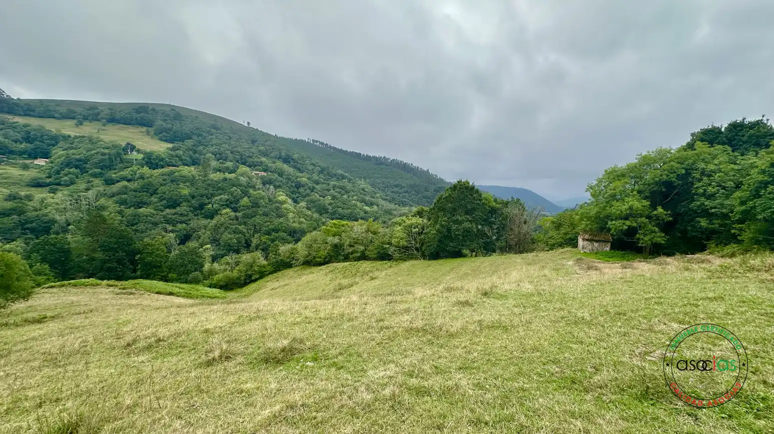 Terreno rustico in vendita a Cabranes - TORAZO, imagen 7