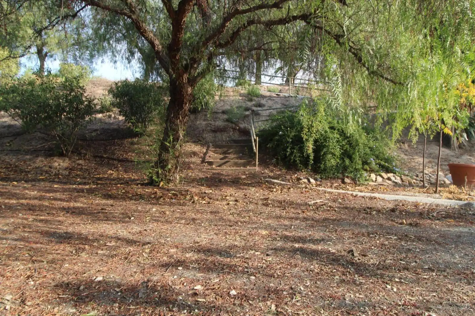 Casa o xalet en venda en Mula