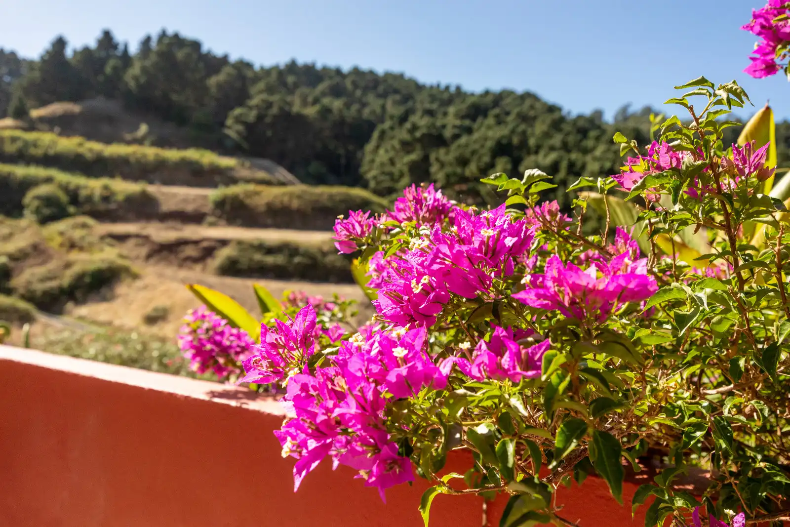 Casa rústica amb jardí en venda a Montaña Alta, imagen 33