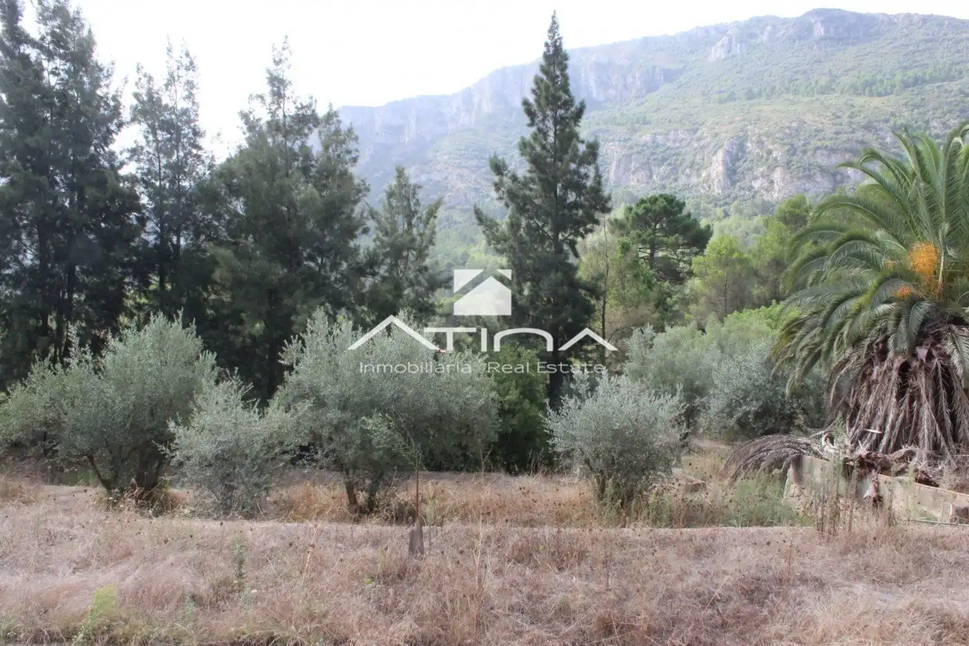 Detached house with pool for sale in Barx, imagen 29