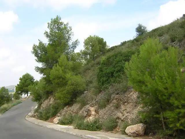 Terreny residencial en venda a Calle Amapolas 266, imagen 2