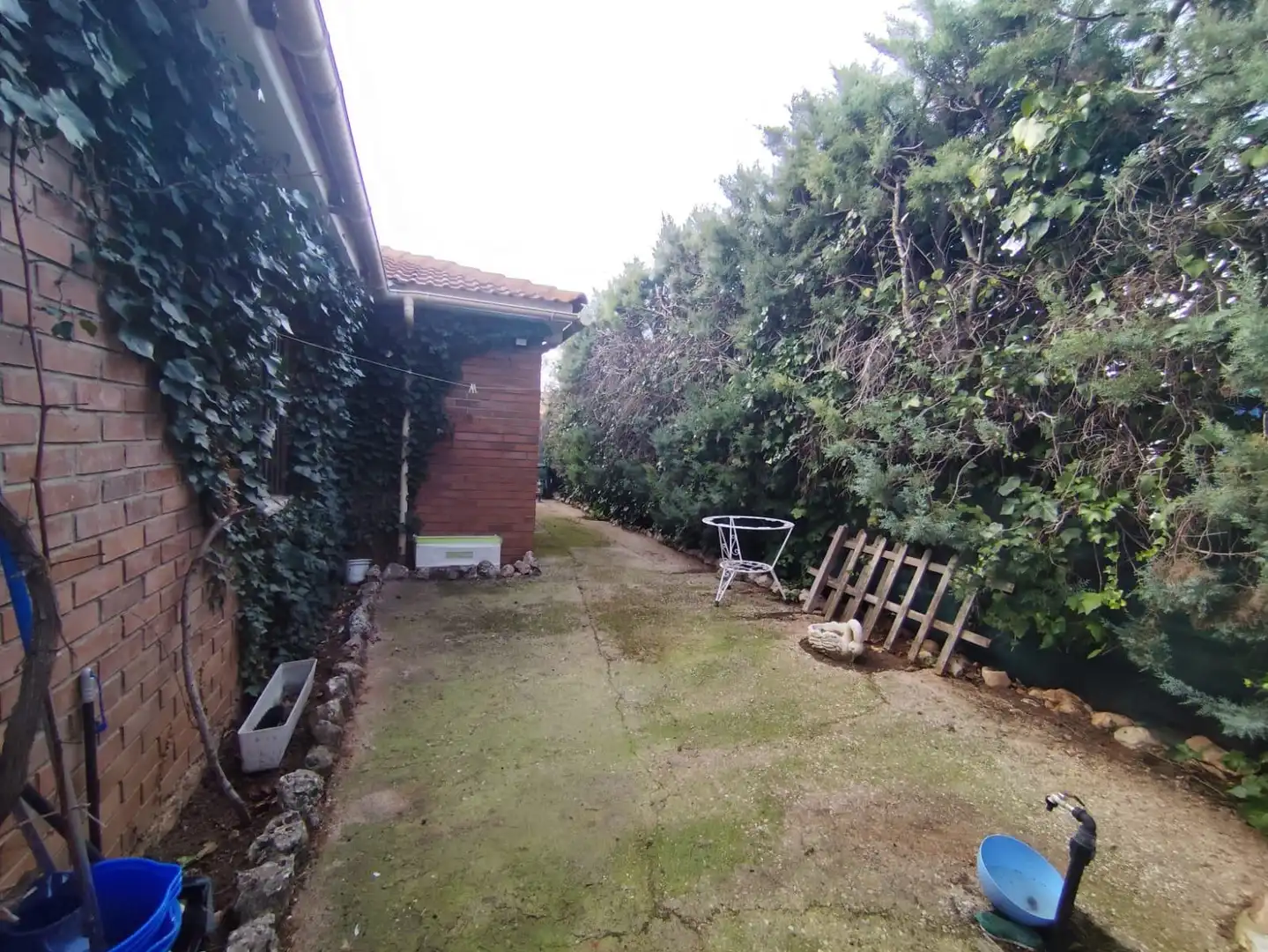 Garden of Detached homes for sale in Loranca de Tajuña