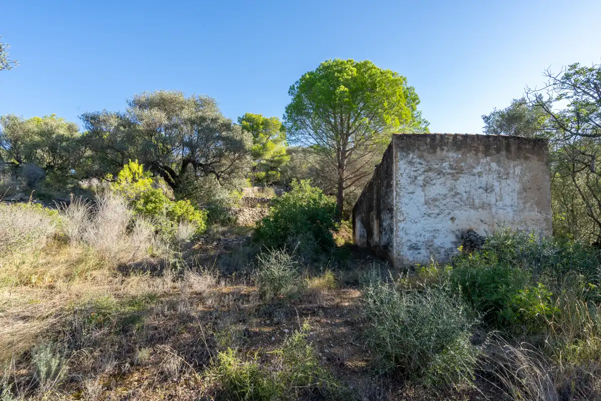 Terreny rústic en venda a Camí de la Potra de Pino 28, imagen 17