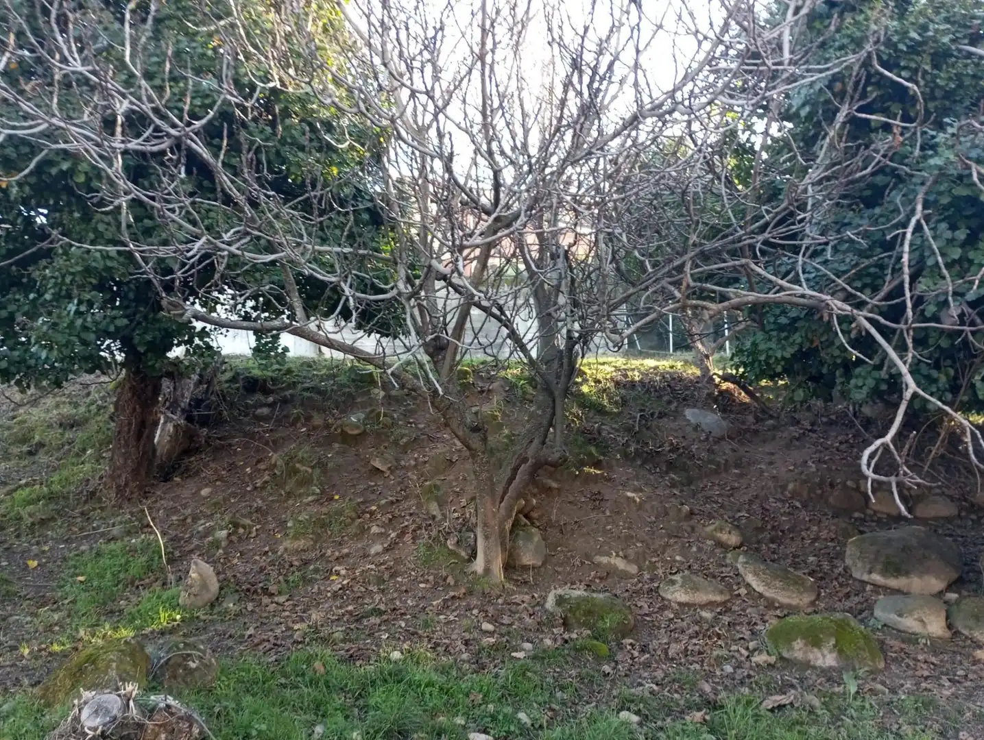 Terreni e lotti in vendita a Calle BURGOS, imagen 19