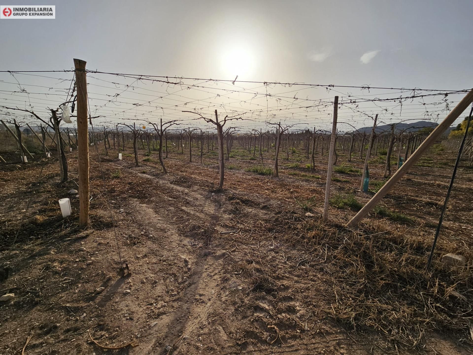 Casa o xalet en venda en Monforte del Cid amb Jardí privat i Traster