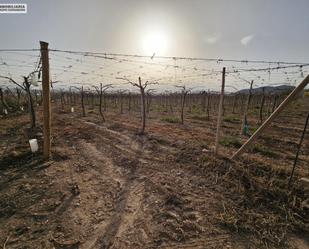 Casa o xalet en venda en Monforte del Cid amb Jardí privat i Traster