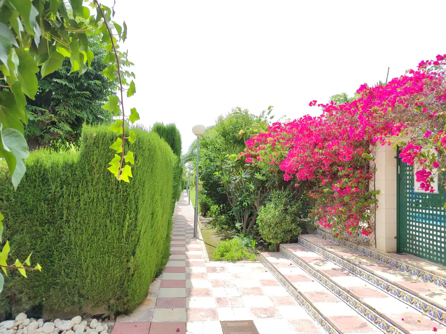 Garden of Detached homes for sale in Elche / Elx  with Air Conditioner, Heating and Terrace