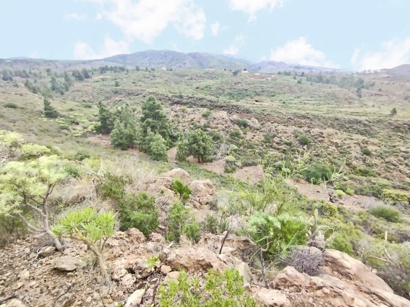 Finca rústica en venta en Granadilla de Abona