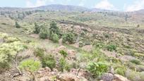 Finca rústica en venda en Granadilla de Abona