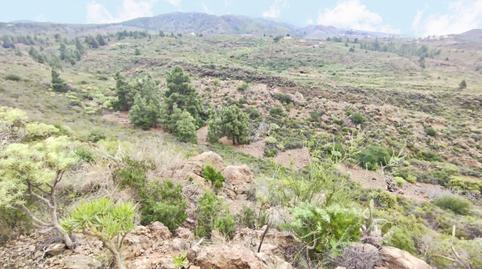 Foto 4 de Finca rústica en venda a Charco del Pino, Santa Cruz de Tenerife