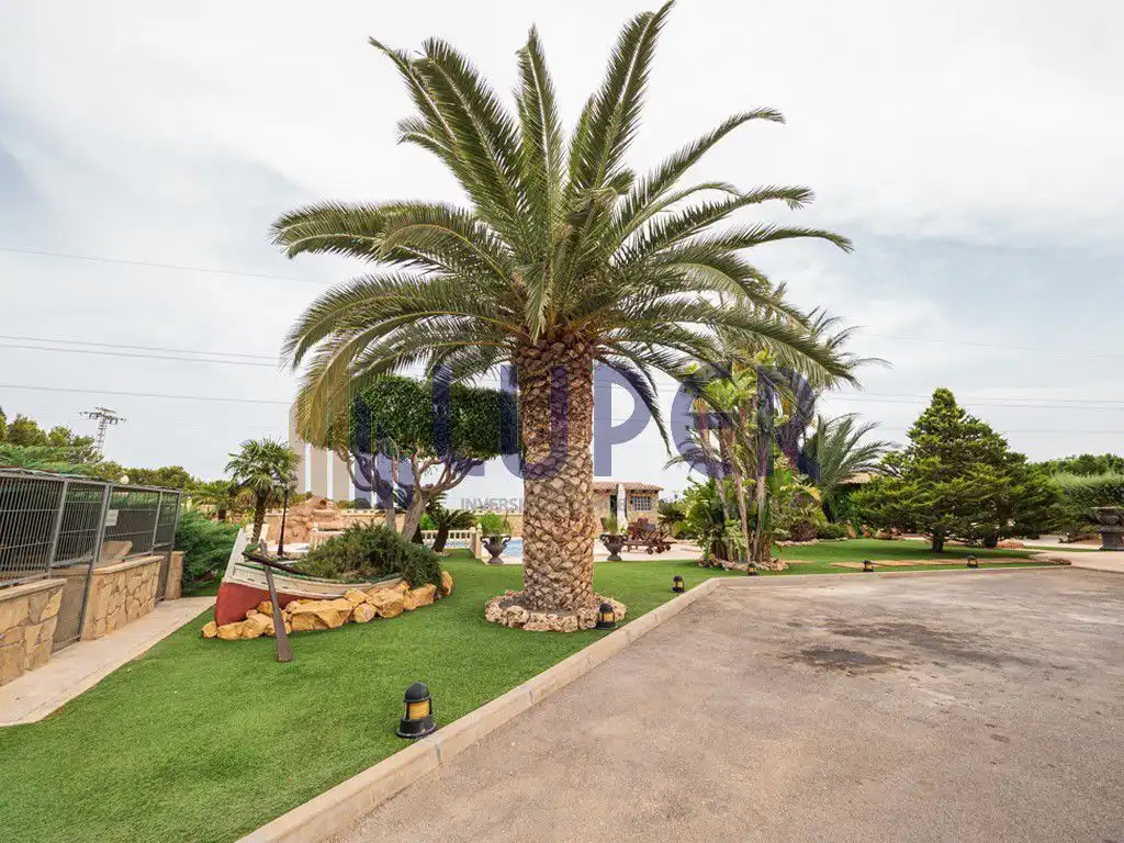 Vista exterior de Casa o chalet en venta en San Vicente del Raspeig / Sant Vicent del Raspeig