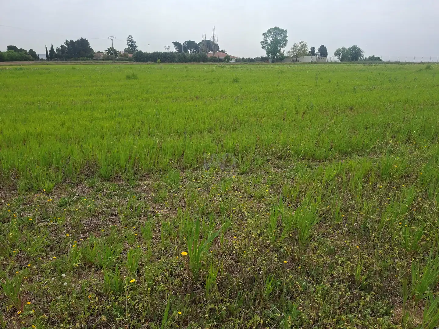 Terreno en venta en Cubas de la Sagra