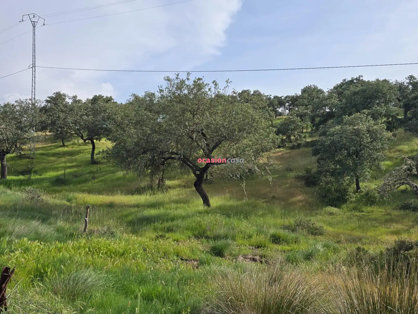 Casa o xalet en venda en Alcaracejos