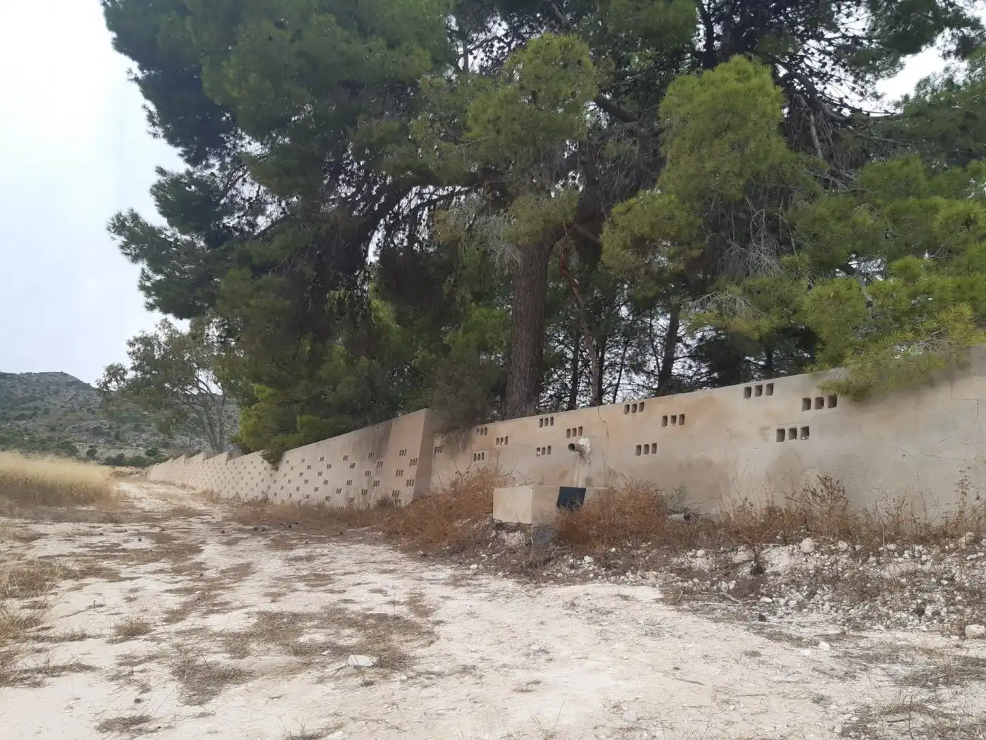 Maison rustique avec piscine à vendre à Monóvar  / Monòver, imagen 26