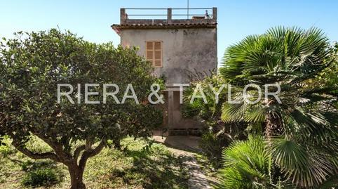 Foto 5 de Finca rústica en venda a Santa Margalida Poble, Santa Margalida