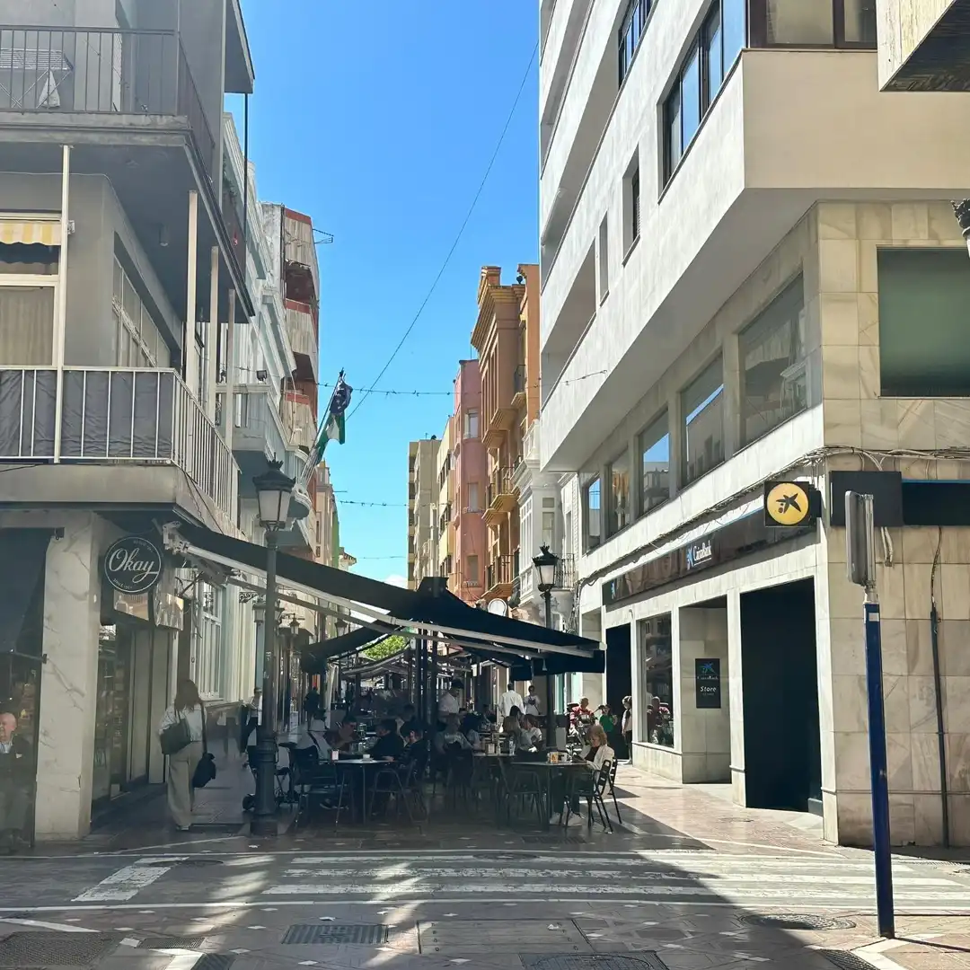 Immobles singulars en venda a Centro- San Felipe - Huerta Fava, imagen 8