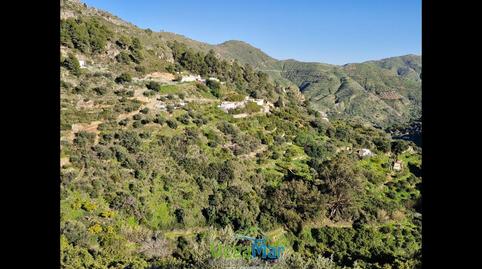 Foto 3 de Finca rústica en venta en La Boveda, El Rescate - Río Seco, Almuñécar