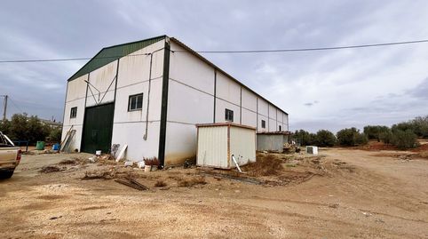 Photo 5 of Residential for sale in Campillos, Málaga