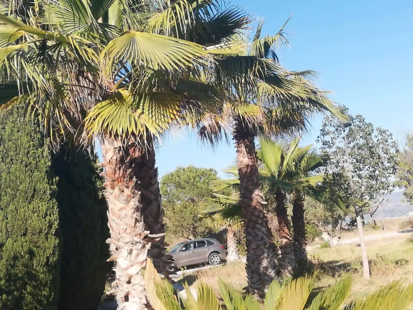 Finca rústica en venta en Vélez-Málaga con Jardín privado, Trastero y Piscina