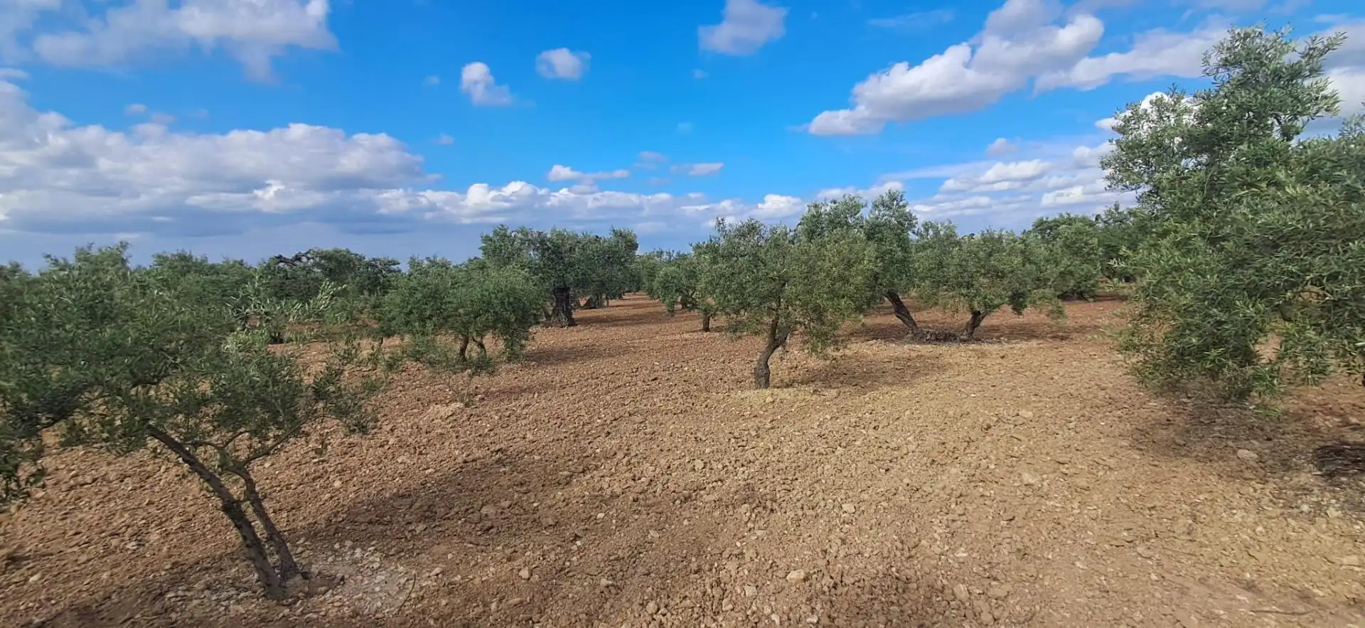 Terreno rustico in vendita a Pedanías Norte, imagen 4