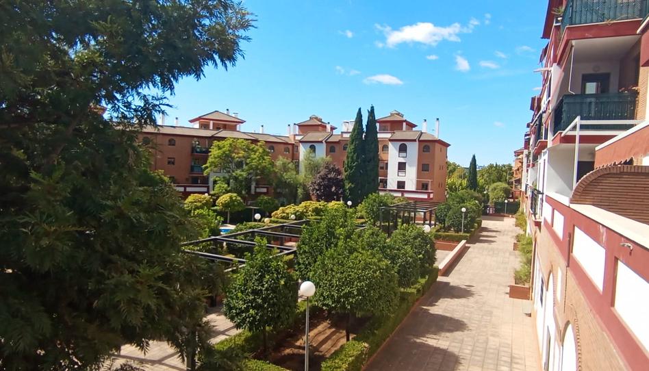 Foto 1 de Pis de lloguer a El Brillante -El Naranjo - El Tablero, Córdoba