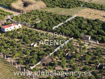 Terreny rústic en venda a Tavernes de la Valldigna