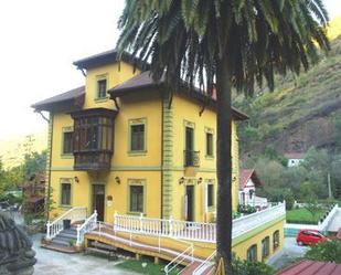 Vista exterior de Casa o xalet en venda en Mieres (Asturias) amb Calefacció, Jardí privat i Terrassa
