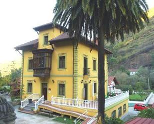 Vista exterior de Casa o xalet en venda en Mieres (Asturias) amb Terrassa