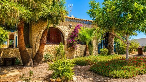 Photo 5 of Houses for sale in Los Arenales del Sol, Elche / Elx