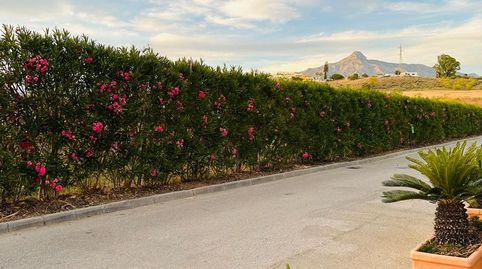 Photo 5 of Detached homes for sale in Rodeo Alto - Guadaiza - La Campana, Marbella