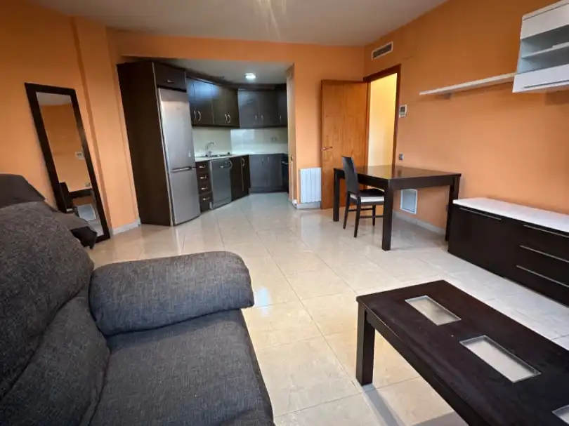 Flat with lift for sale in Avinguda de les Goles de l'Ebre 95, imagen 13