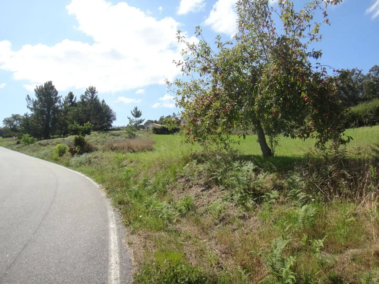 Lands and plots for sale in Brión, imagen 9