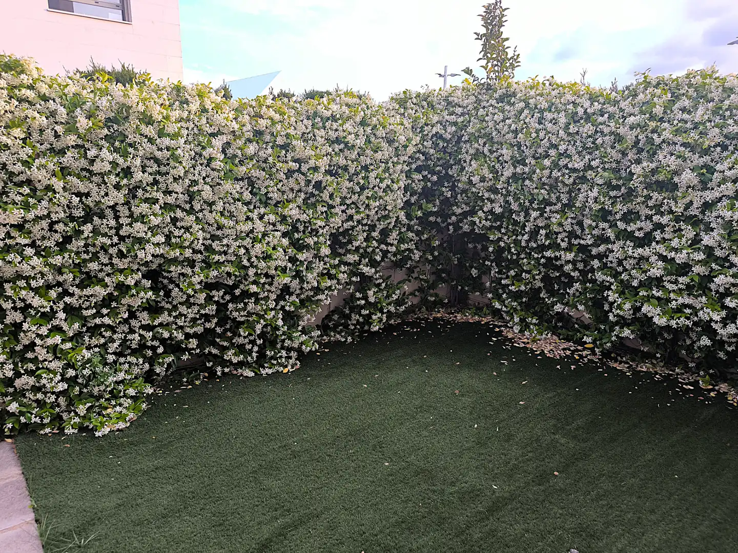Jardín de Planta baja en venta en  Palma de Mallorca con Aire acondicionado, Calefacción y Jardín privado