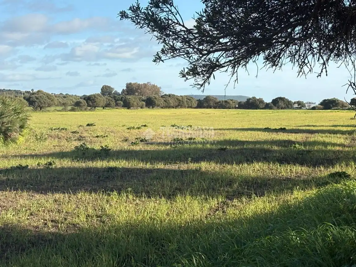 Terreni e lotti in vendita a Los villares, poligono 33 parcela 312, imagen 5