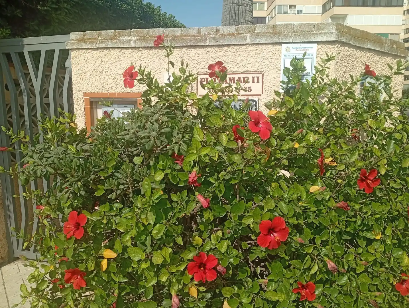 Flat for rent in Torremolinos  with Air Conditioner, Heating and Terrace
