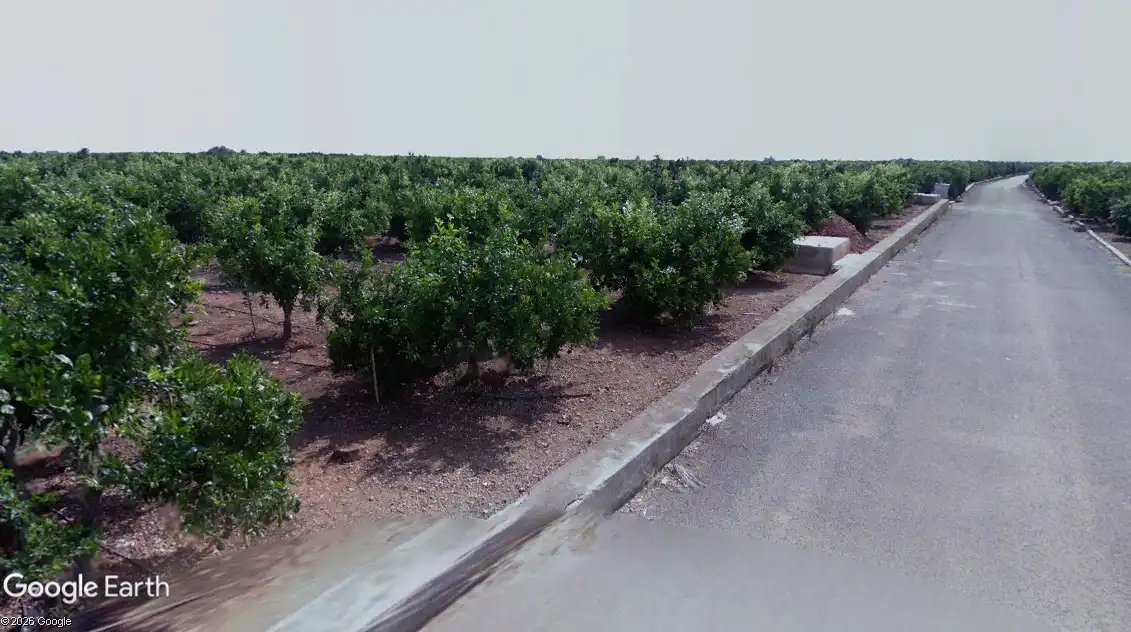 Terreno rustico in vendita a Avenida Alemania-Italia, imagen 2
