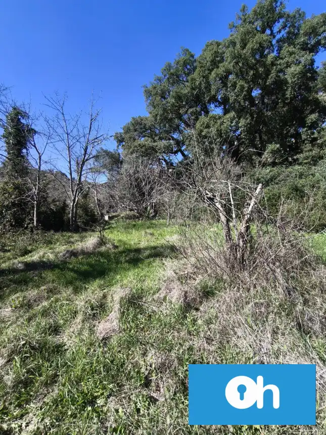 Finca rústica en venta en Los Molares