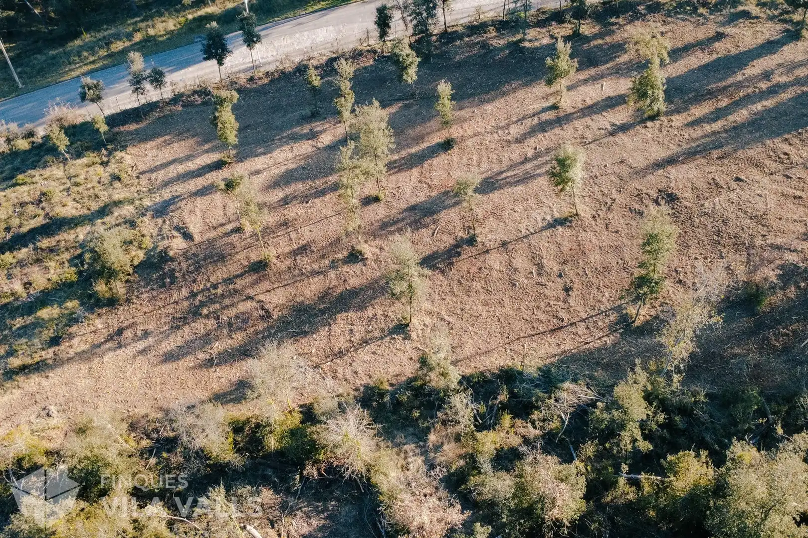 Lands and plots for sale in Calle Palaudaries, imagen 6