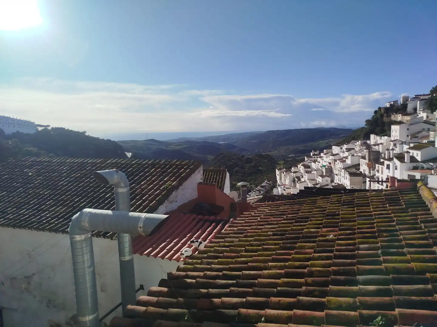 Adosado con jardín en venta en Calle Coperas 19, imagen 25
