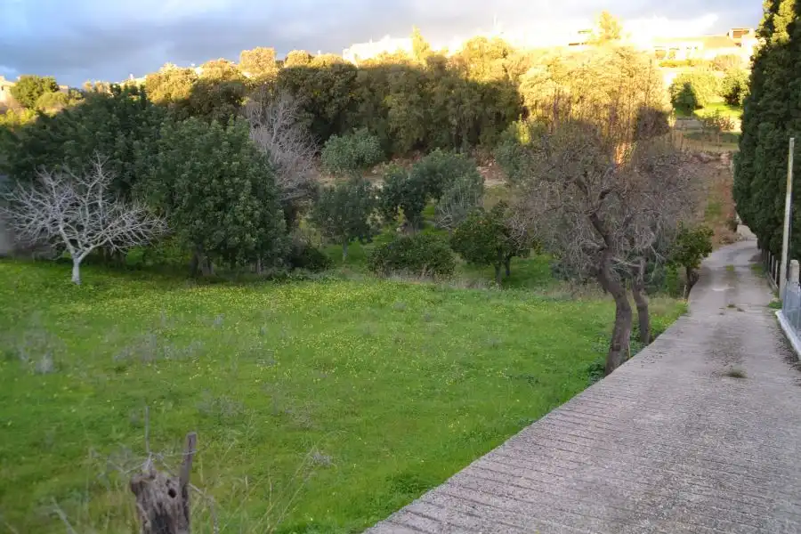 Terrenys i solars en venda a Campanet, imagen 2