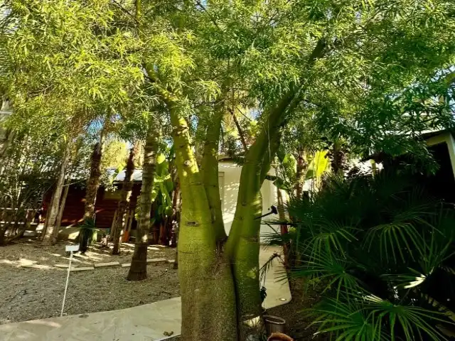 Chalet con piscina en venta en Poligono, imagen 62