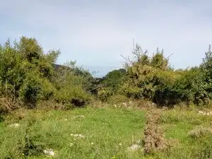Terrain résidentiel à vendre à Aldea Bones, imagen 6