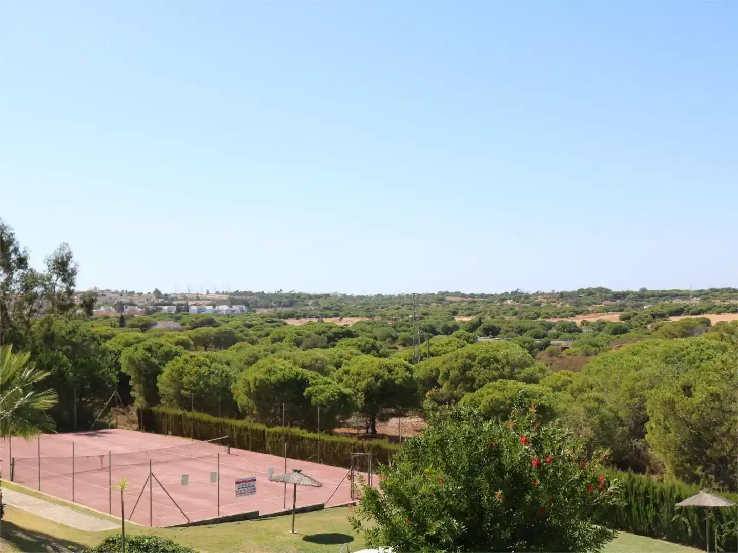 Jardí de Casa o xalet en venda en Lepe amb Piscina i Balcó